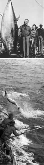 tuna fishing from Central Pacific Tuna