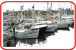 Boats, Ships & Marine Directory, Boating Equipment, Marine Insurance, Marine Surveyors...