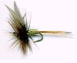 Greenwells Glory fishing fly