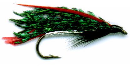 alexandra wet fly